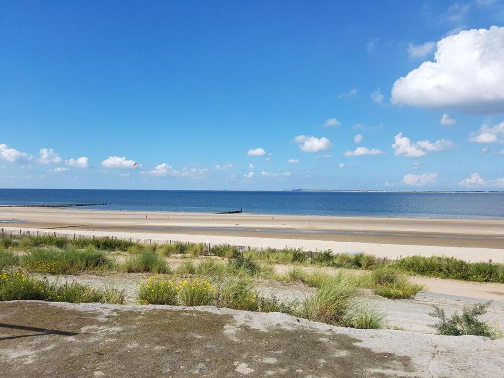 Seagull Comfortable Vakantiehuis *